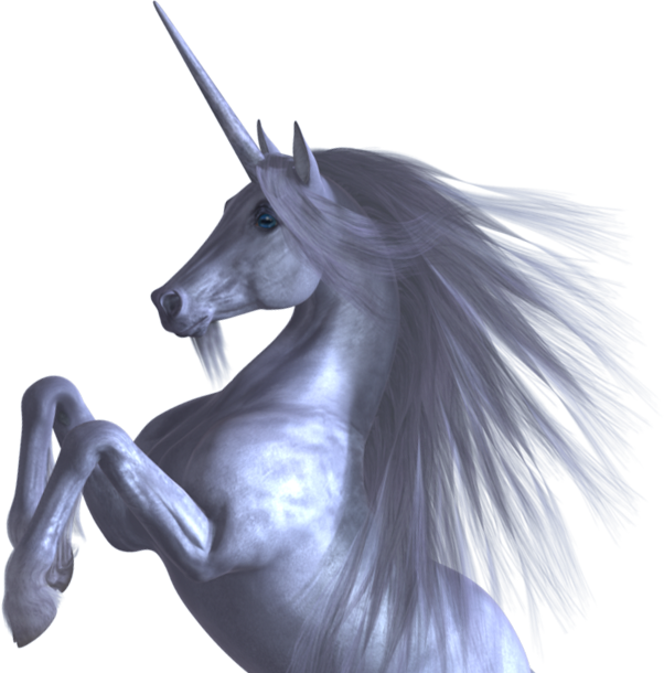 secret unicorn
